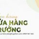 Tuyển dụng cửa hàng trưởng