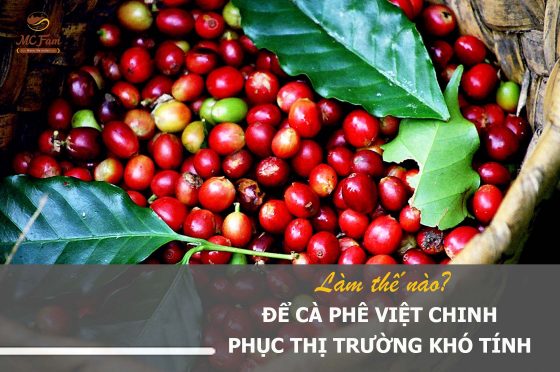 Làm thế nào để cà phê Việt chinh phục thị trường khó tính